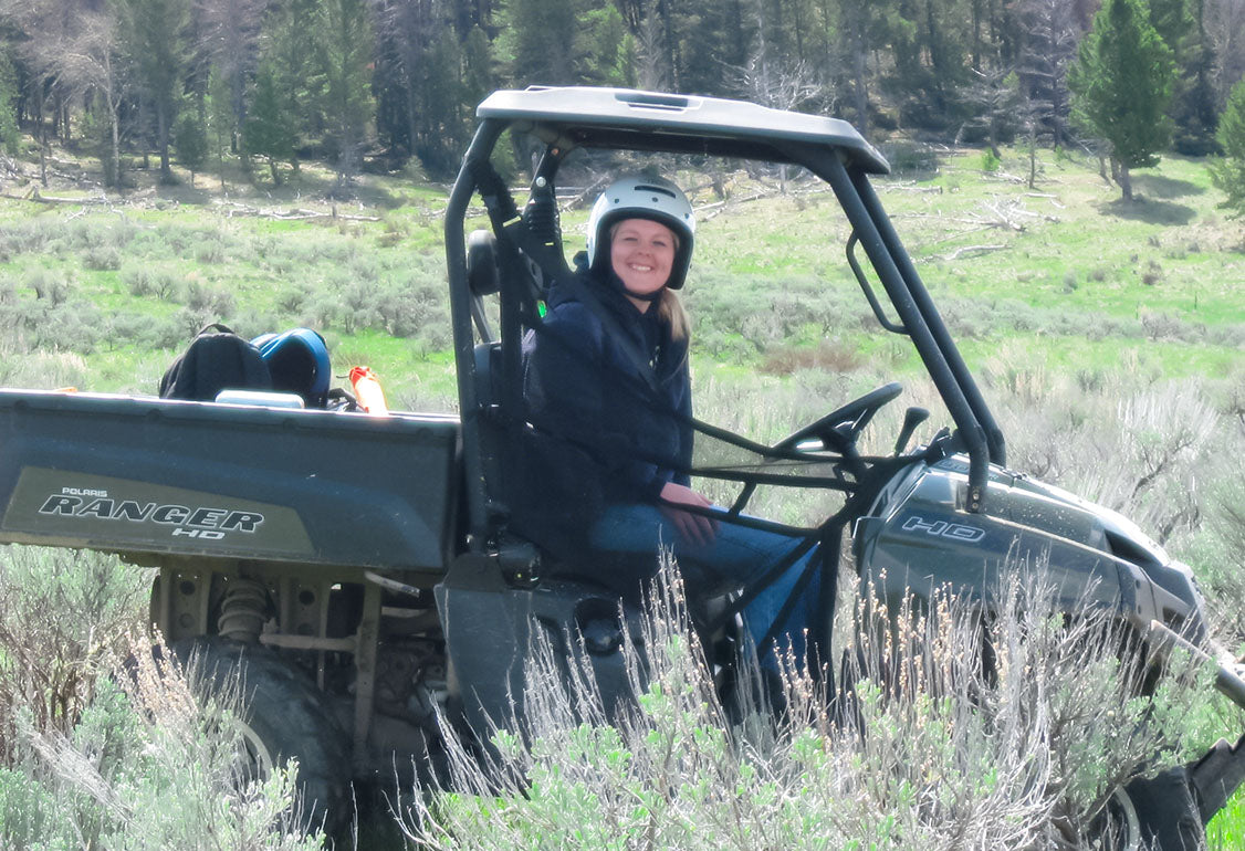 Utv Windshield